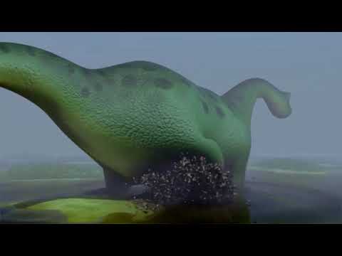 Homba  Footprints on the sand - Trailer