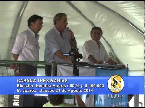 Cabaña Tres Marías - Eleccion - Ganadera Azul S.R.L. - B. Juarez - 21/08/2014