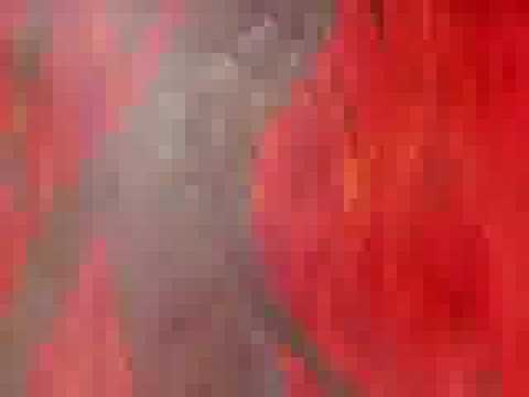 DDR Project 4 - Naoki Underground - Insertion