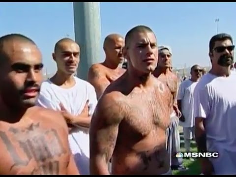 Life in Prison - The Code