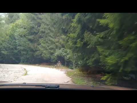 Lacul lui Iovan - Cerna Sat