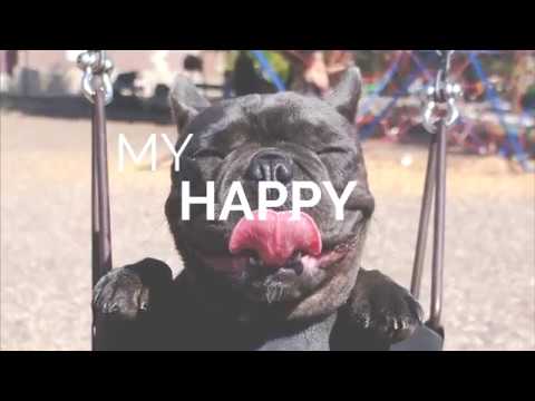 SKAE - My Happy Song (Lyrics Video)