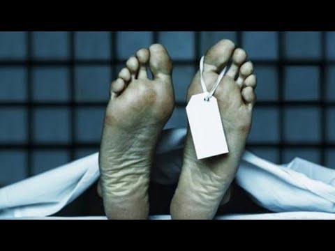 Obat tradisional untuk potensi peningkatan Ia membuka milkings nya