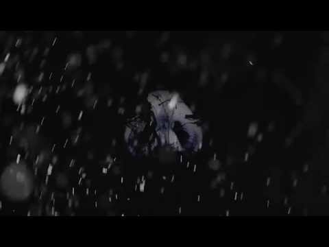 Mr Polska & Frans Duijts - Discodochter (Reversed)