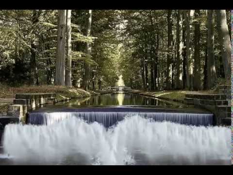 Comme une vieille chanson par Albert Babin