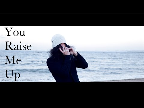 You Raise Me Up Harmonica Cover by Shun