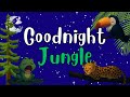 Night Night Jungle Relaxing Storytime With Animals