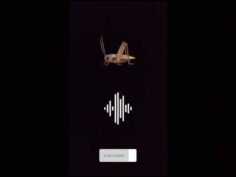 Sonido de Grillo , Bicho 🦗. #sound #memes #greenscreen #grillos  #asmr#insects#art #audio