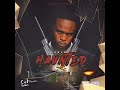 Teejay - Haunted (Official Audio Visualizer)