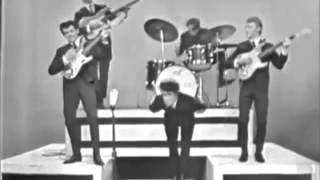 Ray Columbus and the Invaders   She's A Mod   1964