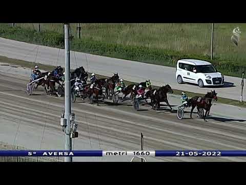 Aversa trotto 21 Maggio 2022 - 5° Corsa
