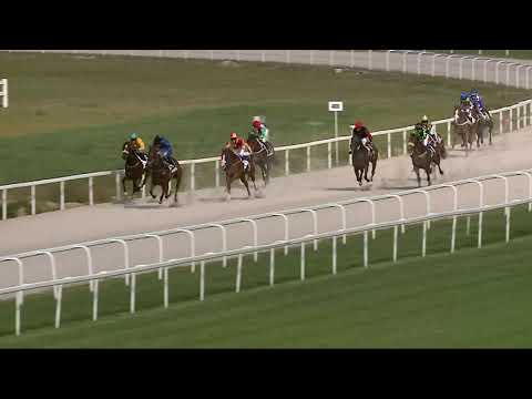 2021.08.08. 06. futam - NYERETLENEK VERSENYE (V.kat.) (szintetikus pálya)