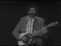 David Bromberg - I Like To Sleep Late In The Morning - 4/15/1977 - Capitol Theatre (Official)