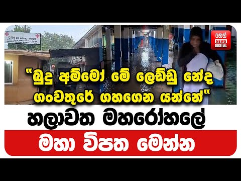 හලාවත මහරෝහලේ මහා විපත මෙන්න