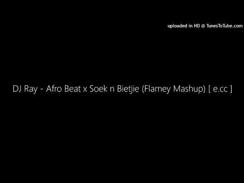 DJ Ray - Afro Beat x Soek n Bietjie (Flamey Mashup)