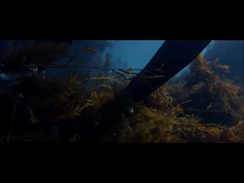 Simon Baker "Breath" Official Trailer