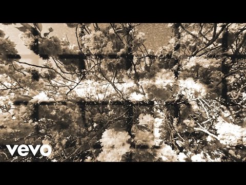 Oliver Rodley - Sweet Green Tea