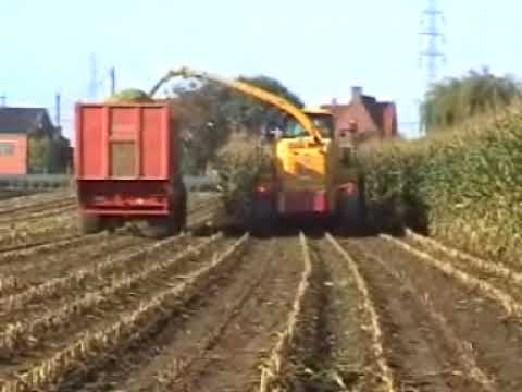 Demarez - Marreel: Mais hakselen.