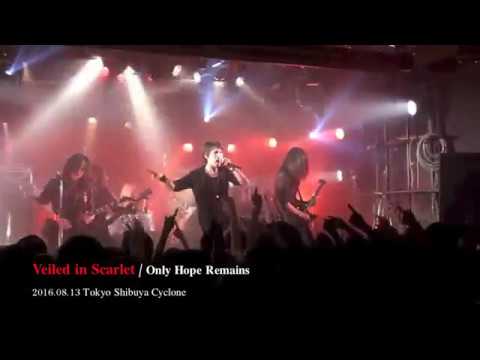 Veiled in Scarlet Live「Only Hope Remains」