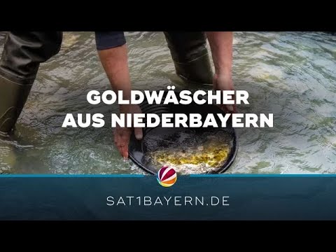 Goldwäscher aus Niederbayern: Vom Hobby zum TikTok-Hit