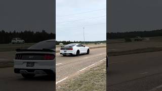 Download lagu Which American V8 sounded better? #carsofyoutube #fordperformance #chevrolet #v8 #carshow #camaro mp3 Download lagu Which American V8 sounded better? #carsofyoutube #fordperformance #chevrolet #v8 #carshow #camaro mp3