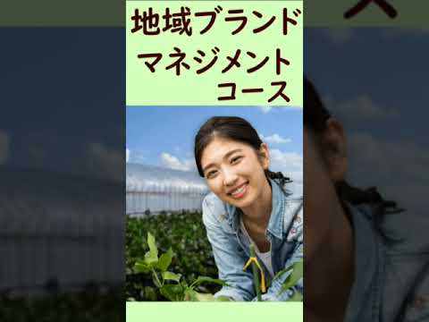 経営学部: 1分間でわかるコース前編 #Shorts｜明星大学