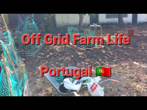 Episode 113 OFF-GRID FARM LIFE in CENTRAL PORTUGAL