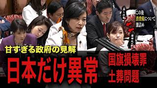 【参政党vs高市総理】「日本だけが自国の国旗を壊しても罰則なし」高市総理に消費税の矛盾・移民政策・国旗損壊罪を直撃！| 国会答弁 梅村みずほ議員