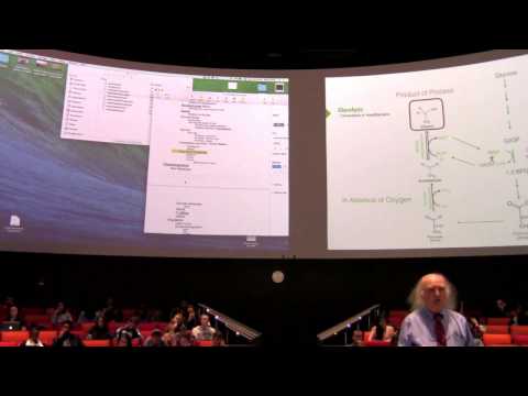 Glycolysis / Gluconeogenesis - Kevin Ahern's BB 450 Lecture #24 2016