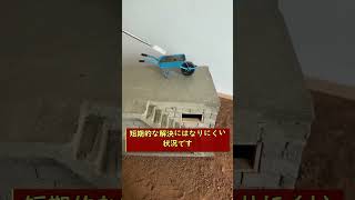 #株式 #投資# 日本株 #資産運用 #投資初心者 #株式投資 #お金の勉強 #長期投資 #配当金 #老後資金