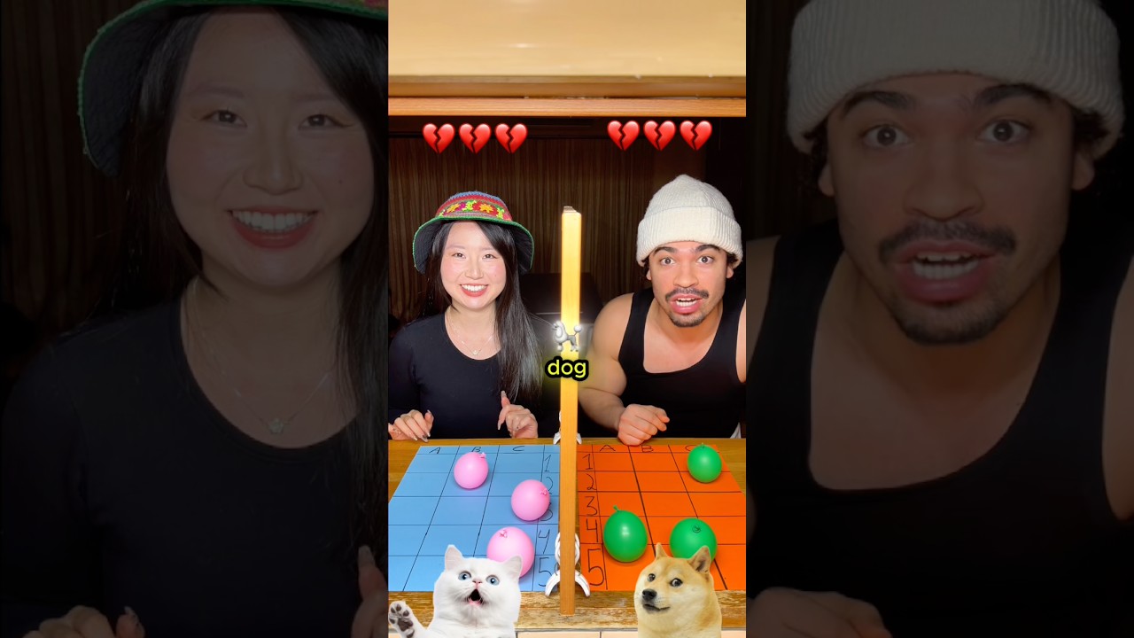 🐶 vs 🐱 Who wins decides our next pet