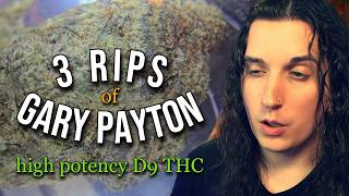 3 BIG rips of GARY PAYTON (D9 Hybrid Strain) || DRAGON'S STRAIN REVIEW