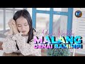 Download Lagu Yaya Nadila - Malang Denai Bamimpi Mp3 Free