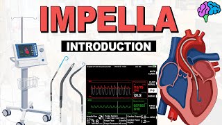 Introduction to Impella - What is an Impella?
