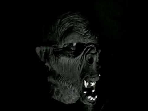 The Berzerker - "Reality" Music Video (Remastered 2024)