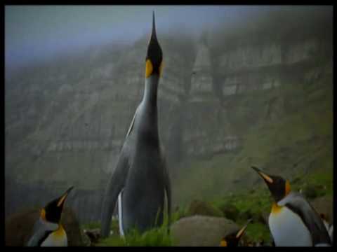 Zouganelis martyriariko pouli