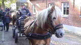 Herfstrit St. Norbertus