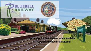 Bluebell Rly-Ardingly Junction live webcam