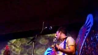 Sufjan Stevens - Casimir Pulaski Day