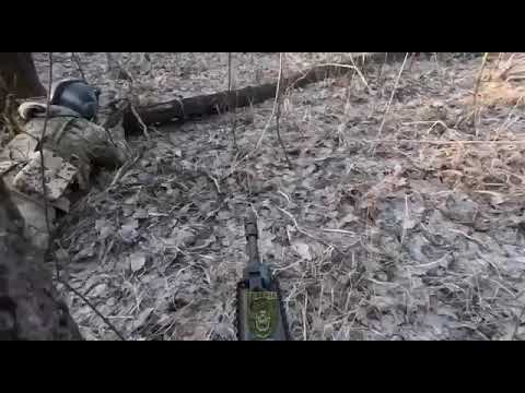 Fighting in Russia. Siberian battalion shows shootout with advancement in woods – video | Ukrainian News | LIGA.net