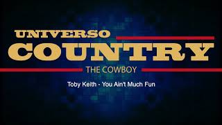 Toby Keith - You Ain't Much Fun