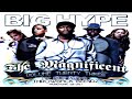 DJ BIG HYPE - THE MAGNIFICENT VOLUME TWENTY THREE: HIP HOP & R&B THROWBACK BLENDS [2005]