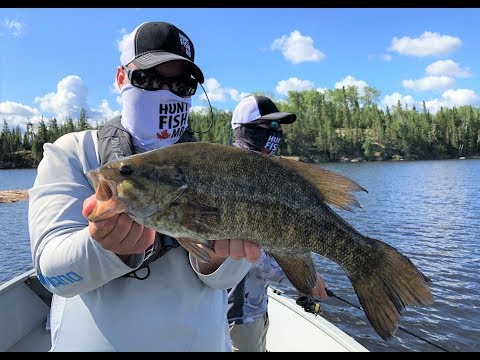 Unbelievable Smallmouth Bass Fishing at Q Lake Lodge - Manitoba Hot Bite
