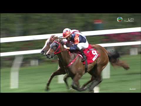 15/12/2021 (256) 飛凡 (E271) 莫雷拉