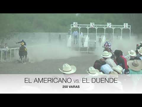 EL AMERICANO vs. EL DUENDE A 250 VARAS