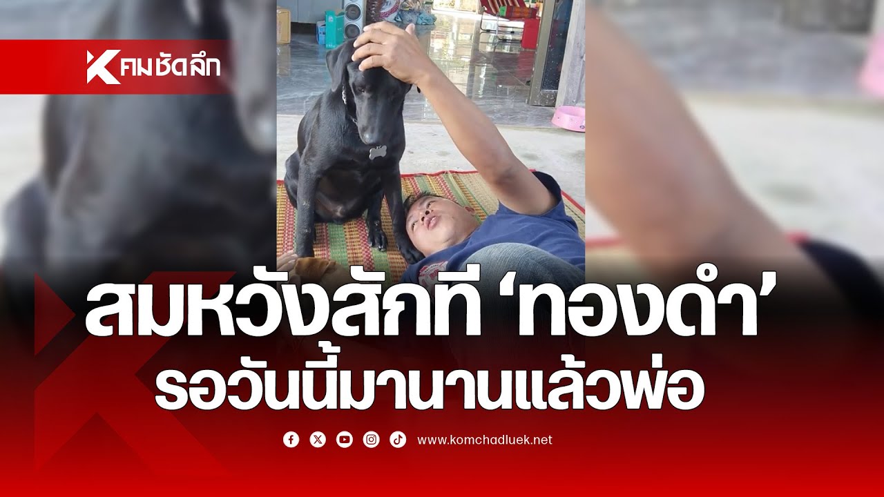 สมหวังสักที 'ทองดำ' บอก รอวันนี้มานานแล้วพ่อ