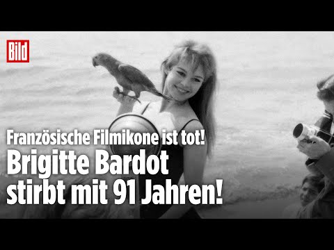BRIGITTE BARDOT IST TOT: Filmikone aus Frankreich stirbt mit 91 Jahren!