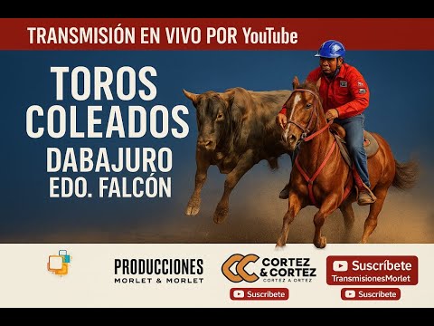 TOROS COLEODOS FERIAS DE DABAJURO EDO. FALCON
