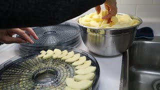 Dehydrating Apple Slices