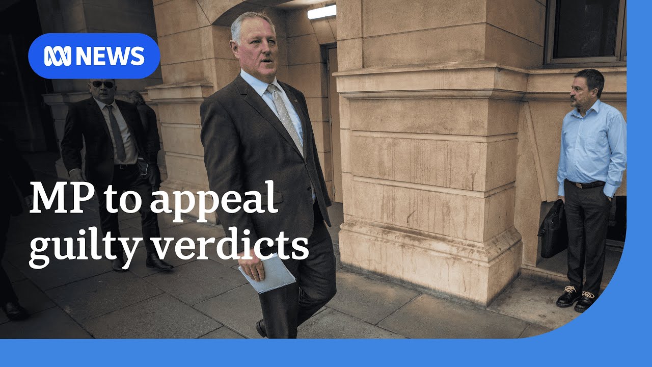 Troy Bell confirms appeal after Mount Gambier MP found guilty of theft and fraud | ABC News